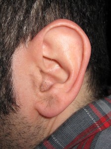 Panos' ear